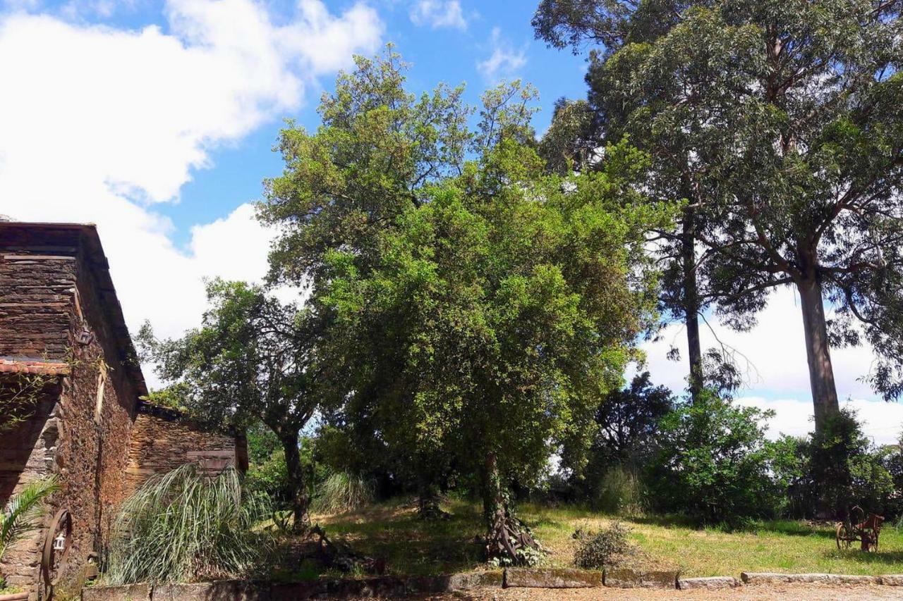 Porto Natura House Valongo  Luaran gambar
